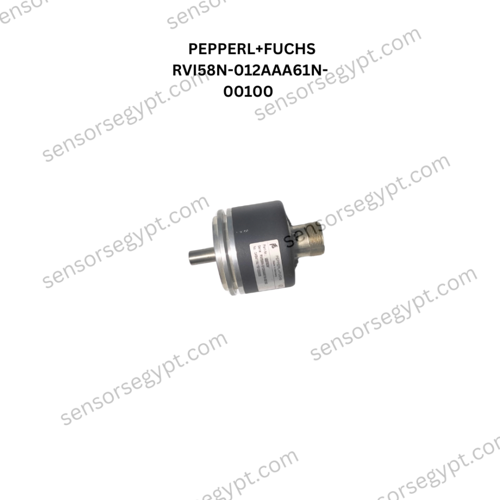 PEPPERL+FUCHS RVI58N-012AAA61N-00100 (1)