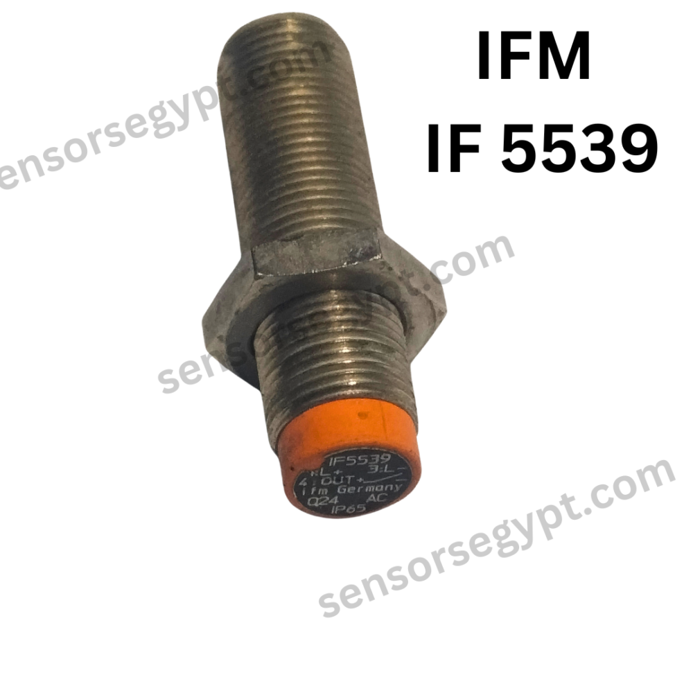 Untitled design (100)