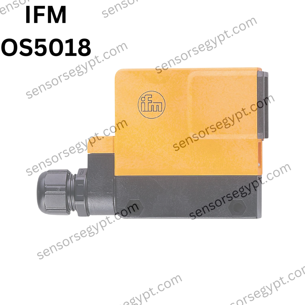 Untitled design (11)