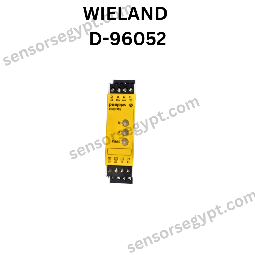 Untitled design - 2024-12-31T094948.673