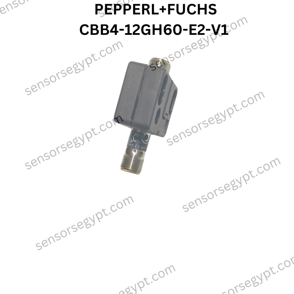 Untitled design (80)