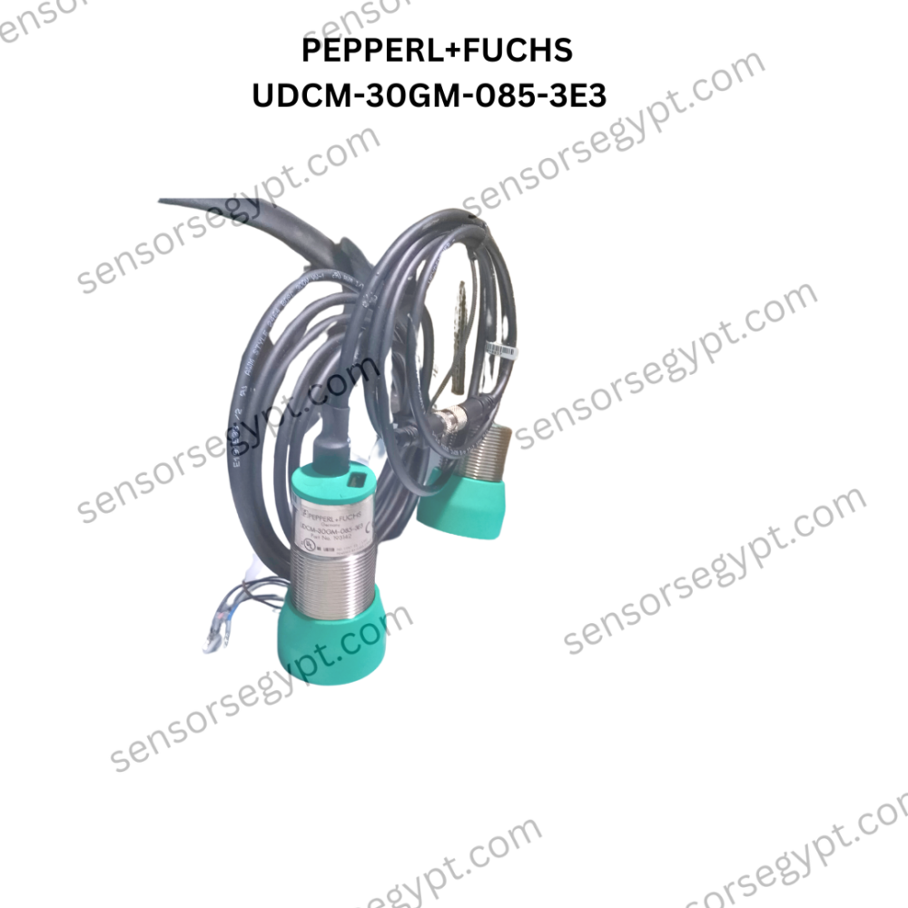 Untitled design (81)