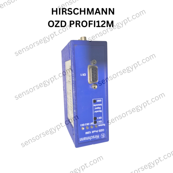 Untitled design (89)