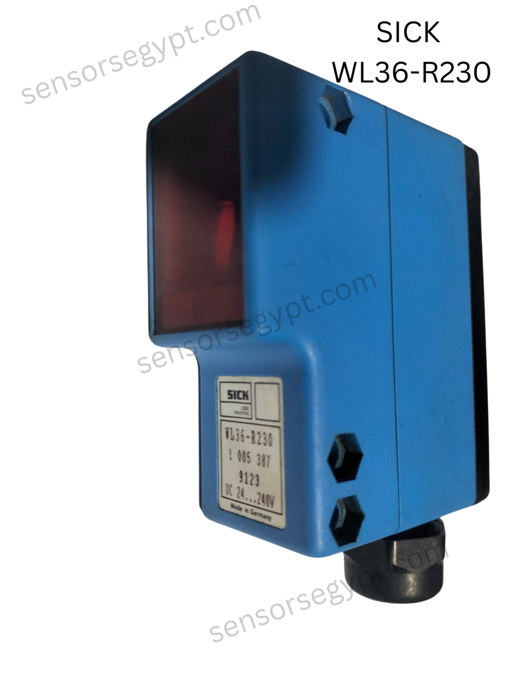 Untitled design - 2025-01-02T123849.553