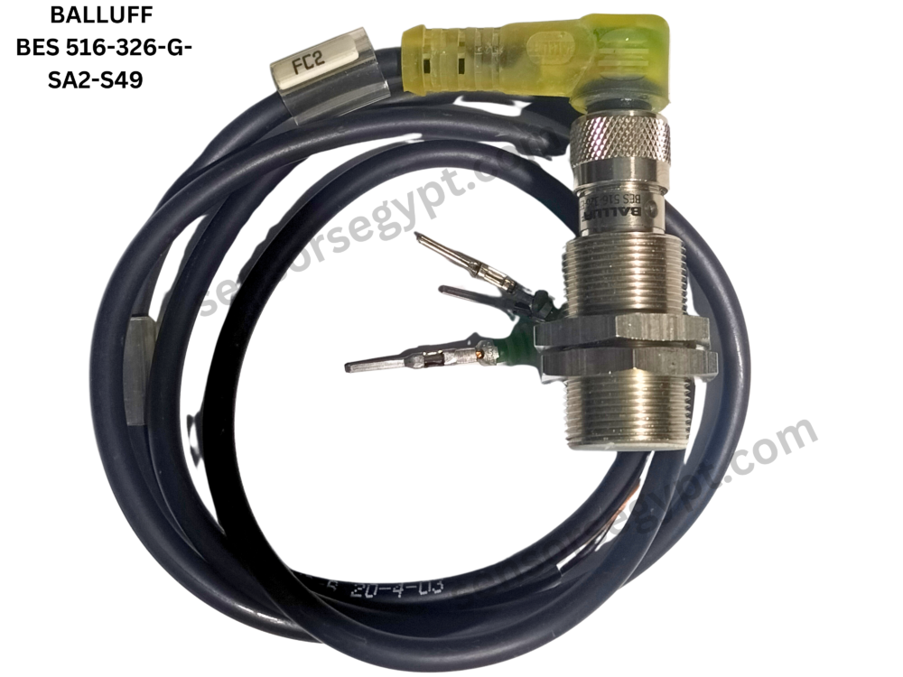 Untitled design - 2025-01-06T144602.659