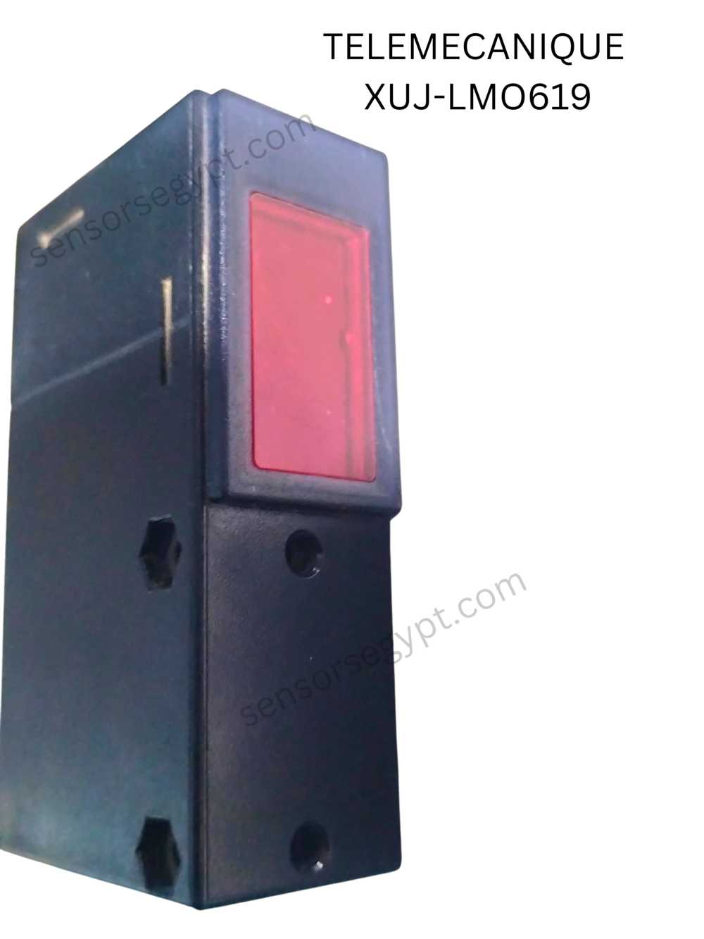 Untitled design - 2025-01-06T152729.592