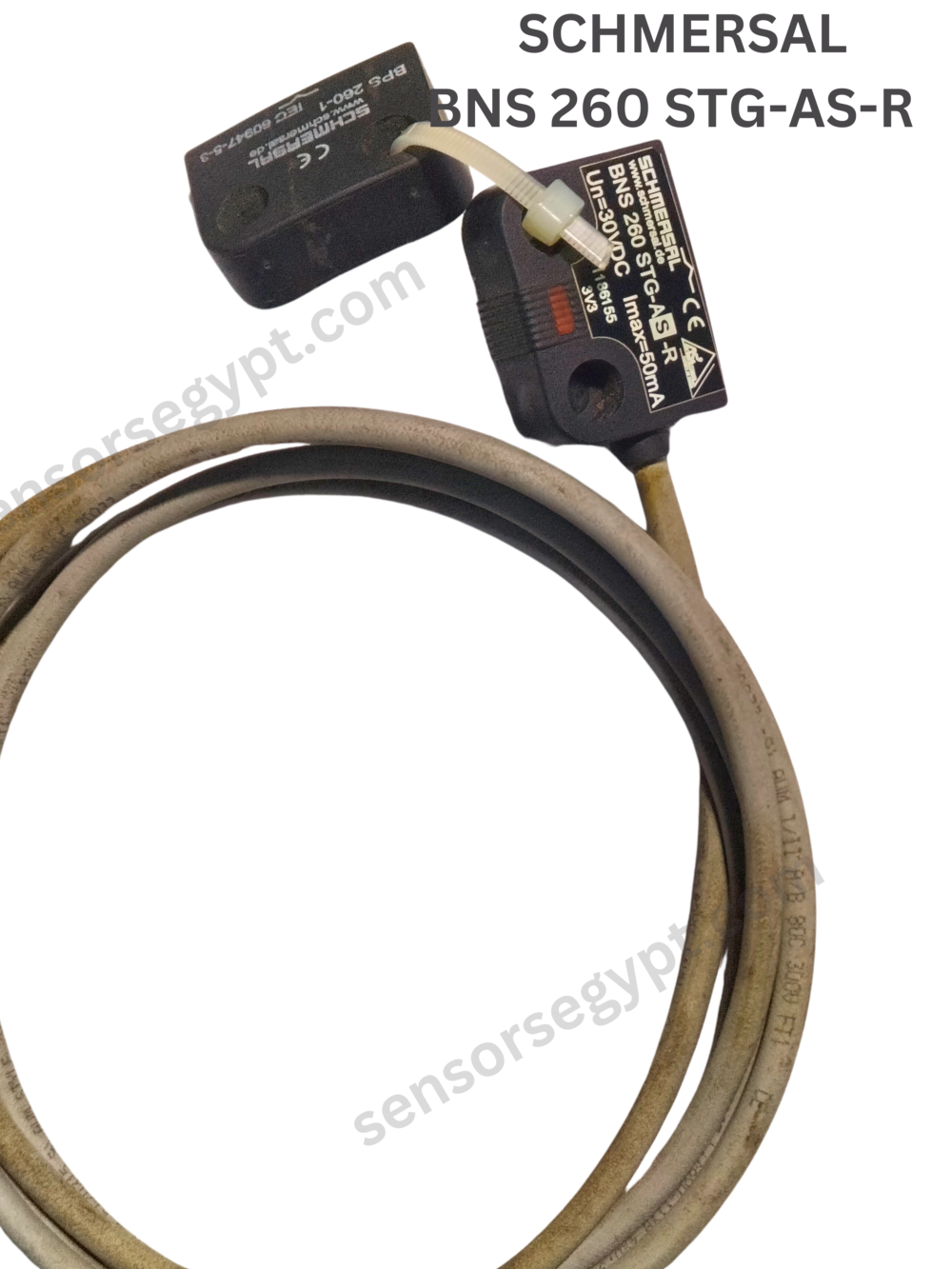 Untitled design - 2025-01-07T140138.454