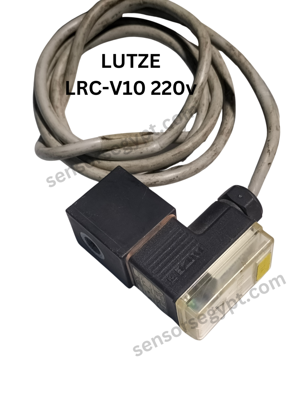 Untitled design - 2025-01-07T145403.477