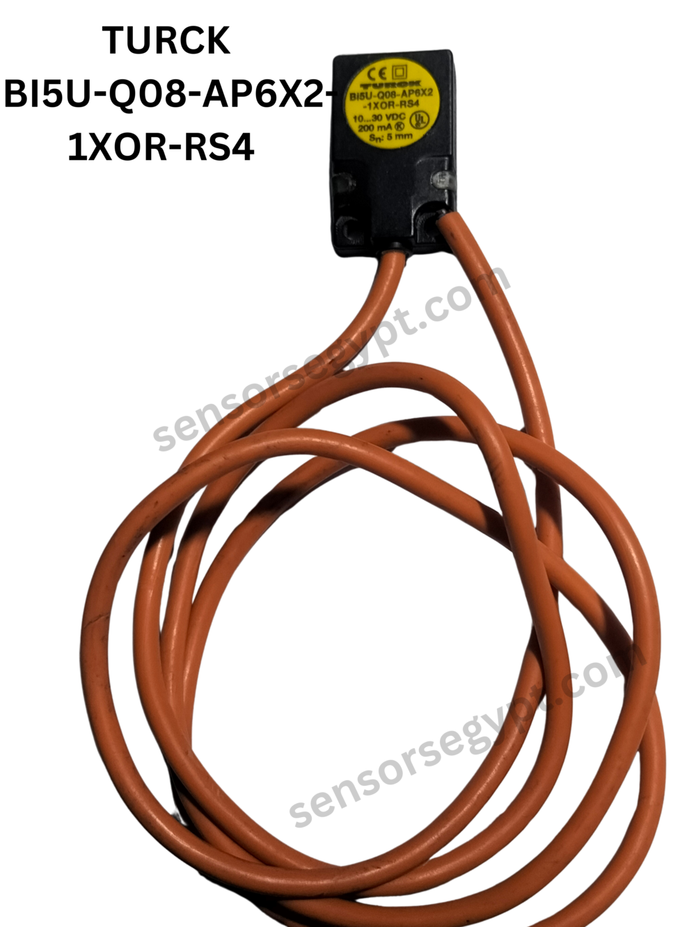 Untitled design - 2025-01-07T153313.486