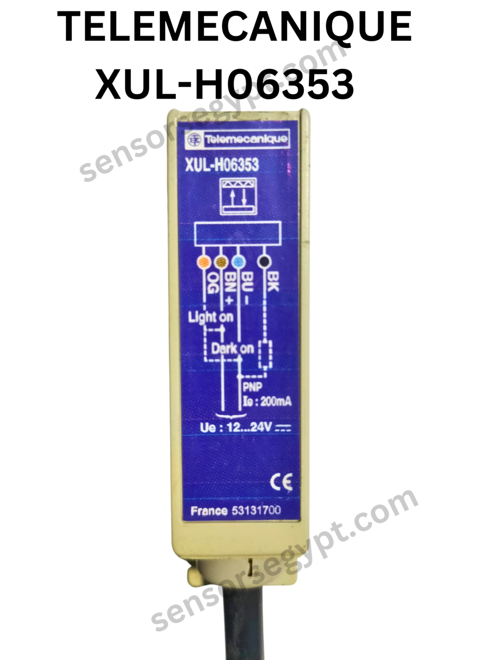 Untitled design - 2025-01-08T131926.442