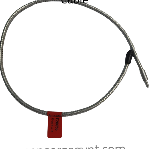 ifm E20056 Glass Fiber Optic Cable